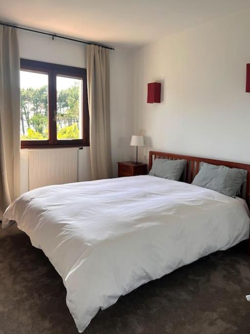 Villa Playa Cabanas Tal Kültér fotó
